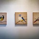 Glen Wynne - Free Off-site Health Club Access With Pool, Sauna, Steam & Gym Short 5 Minute Drive Away