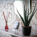 Glen Wynne - Free Off-site Health Club Access With Pool, Sauna, Steam & Gym Short 5 Minute Drive Away