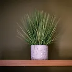 Glen Wynne - Free Off-site Health Club Access With Pool, Sauna, Steam & Gym Short 5 Minute Drive Away 4*