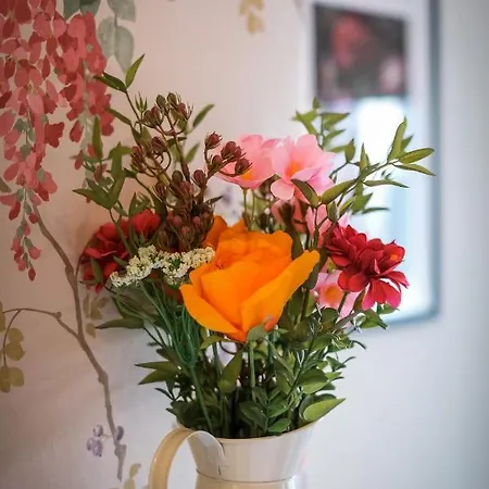 Glen Wynne - Free Off-site Health Club Access With Pool, Sauna, Steam & Gym Short 5 Minute Drive Away Konukevi